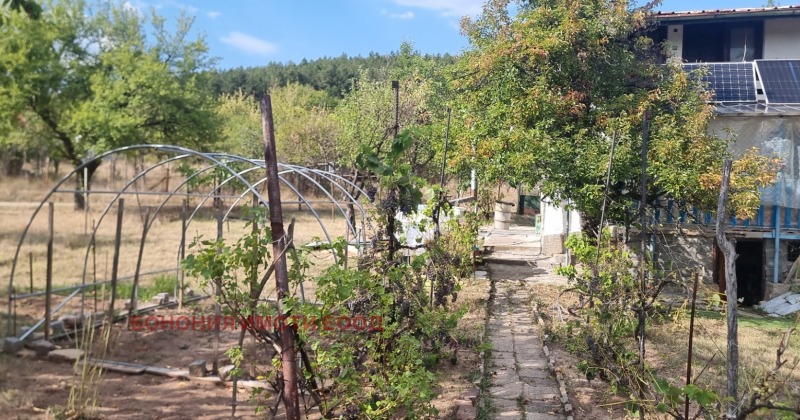Na prodej  Dům Sofia , Podgumer , 45 m2 | 99259047 - obraz [5]