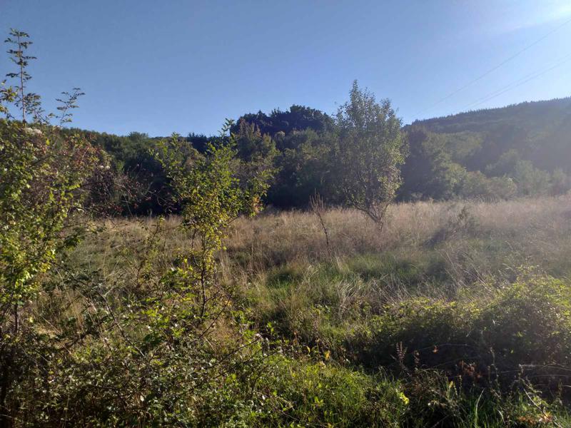 ������� ������ | Imot.bg � ����������� 4