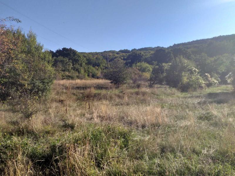 ������� ������ | Imot.bg � ����������� 5