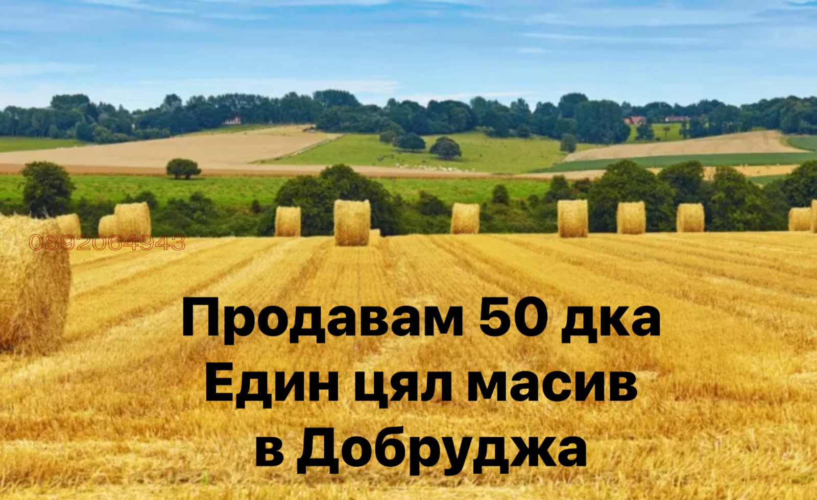������� ���������� ���� | Imot.bg � ����������� 1