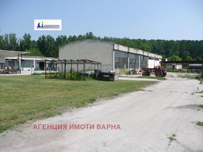 Na prodej  Spiknutí oblast Varna , Ignatievo , 20000 m2 | 83581625