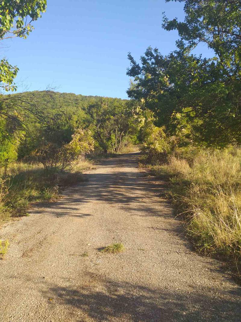 Продава ПАРЦЕЛ, с. Боснек, област Перник, снимка 2 - Парцели - 53600624