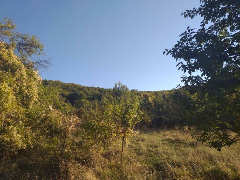 Продава ПАРЦЕЛ, с. Боснек, област Перник, снимка 3 - Парцели - 53600624