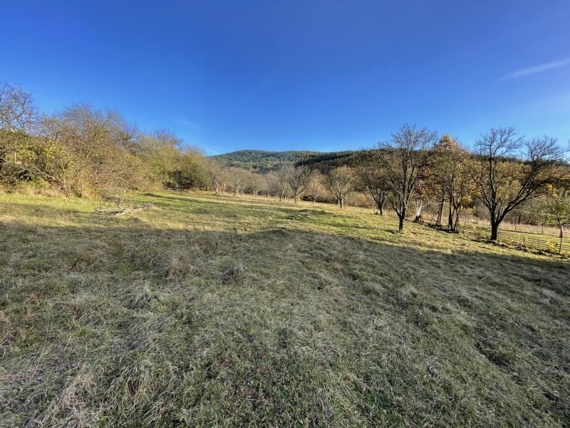 Продава ПАРЦЕЛ, гр. Годеч, област София област, снимка 5 - Парцели - 53095761