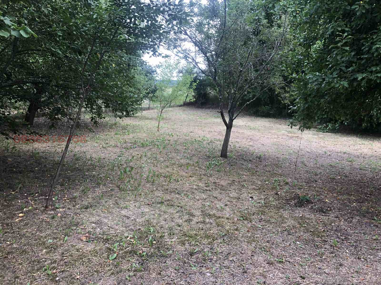 Продава КЪЩА, с. Кръстевич, област Пловдив, снимка 17 - Къщи - 55083086