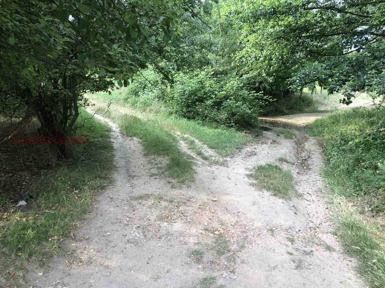 Продава КЪЩА, с. Кръстевич, област Пловдив, снимка 16 - Къщи - 55083086