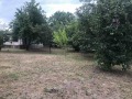Продава КЪЩА, с. Кръстевич, област Пловдив, снимка 12