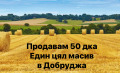 Продава  Земеделска земя област Добрич , с. Конаре , 50 дка | 63272175