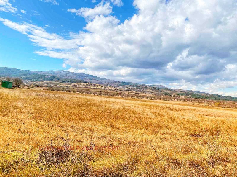 Προς πώληση  Οικόπεδο περιοχή Κιουστεντίλ , Σκρηνιανο , 9902 τ.μ | 78154384 - εικόνα [2]