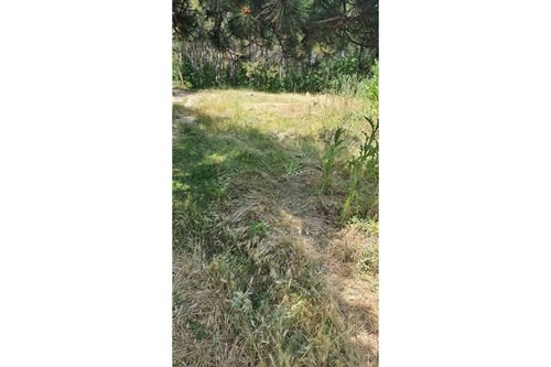 ������� ������ | Imot.bg � ����������� 3