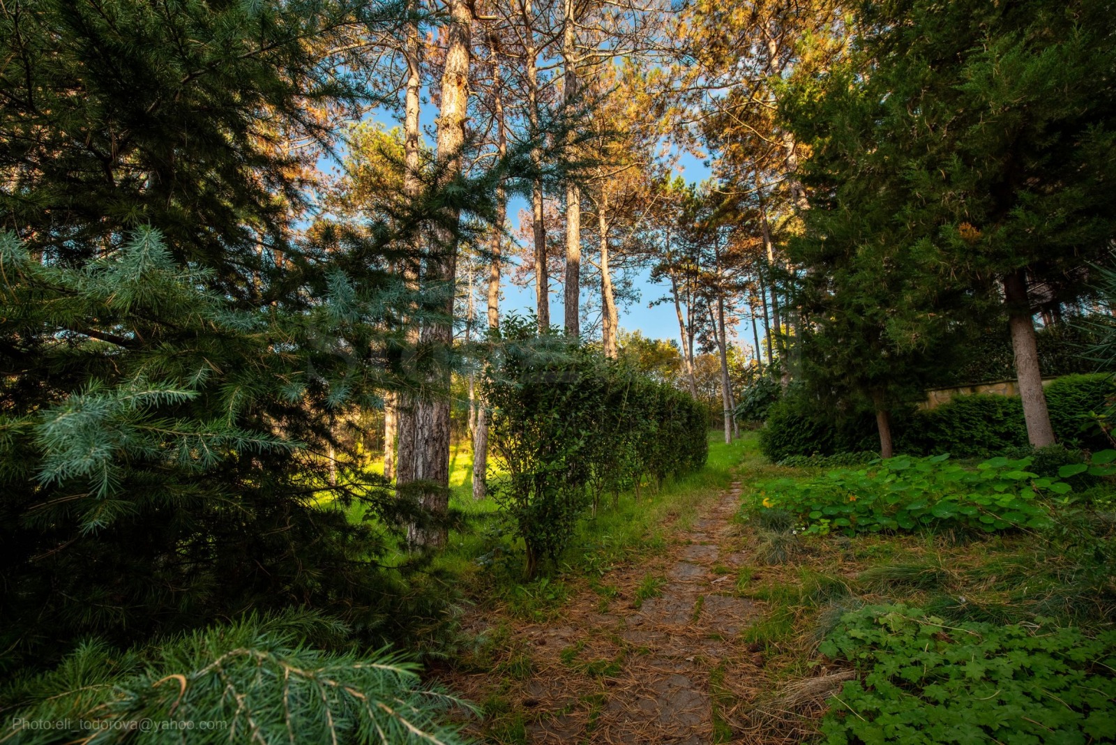 Продава 2-СТАЕН | Imot.bg — изображение 10