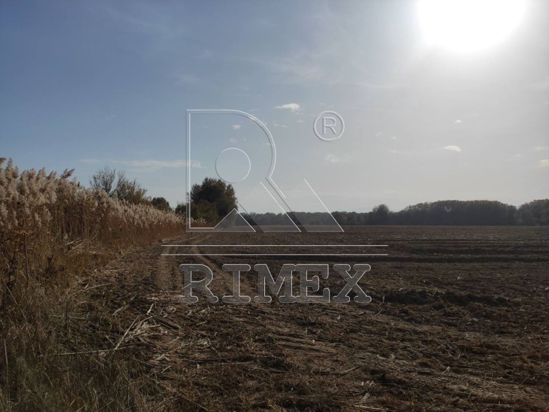 For Sale  Land region Plovdiv , Stryama , 73.655 dka | 57958519 - image [3]