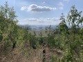 Продава ПАРЦЕЛ, с. Доброглед, област Варна, снимка 2