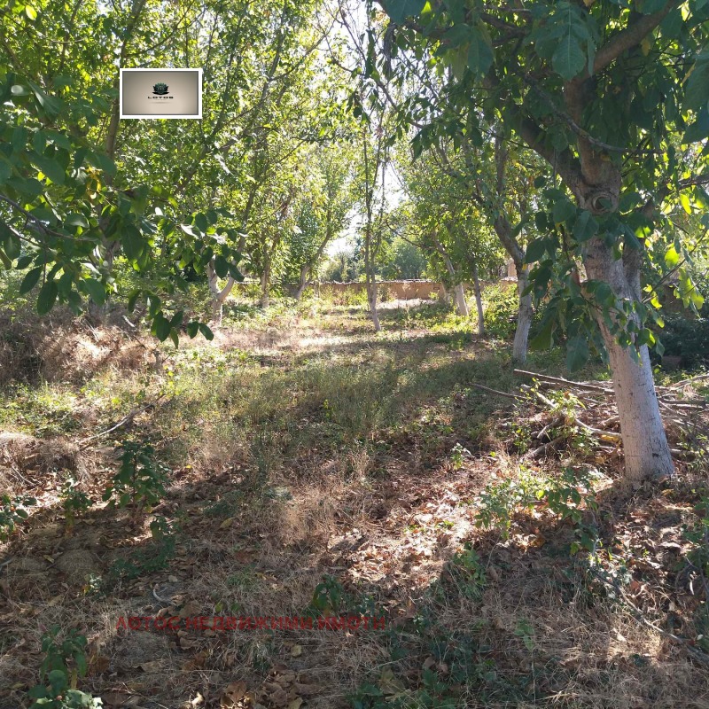 Eladó  Ház régió Veliko Tarnovo , Varbica , 100 négyzetméter | 48081210 - kép [5]