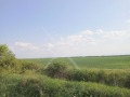 Продава ПАРЦЕЛ, област Пловдив, с. Момино село • 49085 € • 24562936 — Holmes.bg
