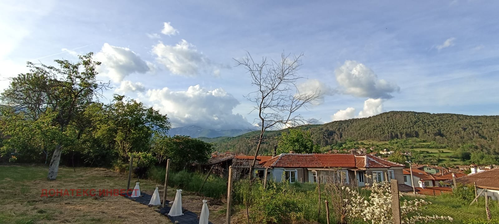 ������� ���� | Imot.bg � ����������� 12