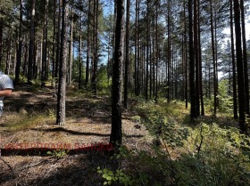 Verhaallijn Razlog, regio Blagoëvgrad 8