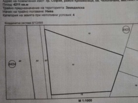 Complotto Chelopechene, Sofia