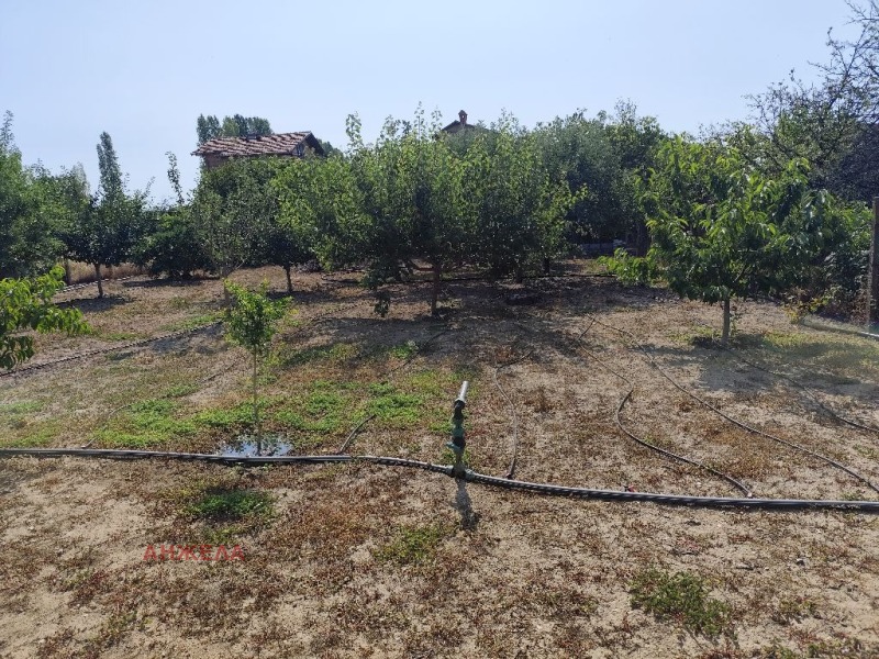 Продава  Къща област Пазарджик , с. Сарая , 80 кв.м | 10068208 - изображение [5]