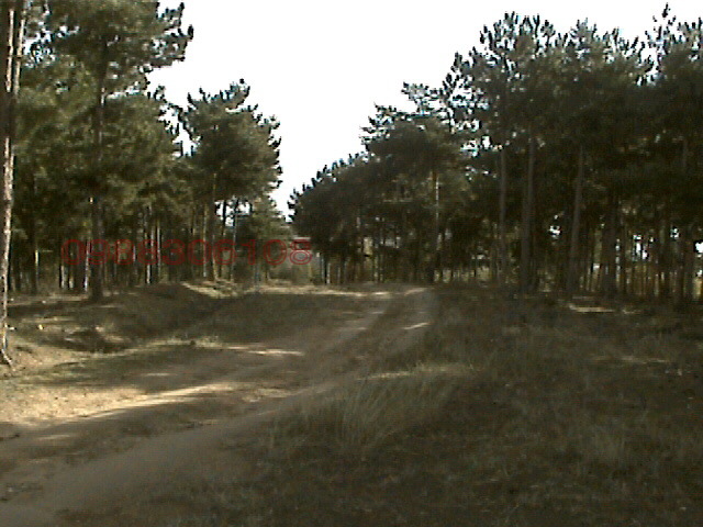 Продава ЗЕМЕДЕЛСКА ЗЕМЯ, с. Кърналово, област Благоевград, снимка 2 - Земеделска земя - 53389683