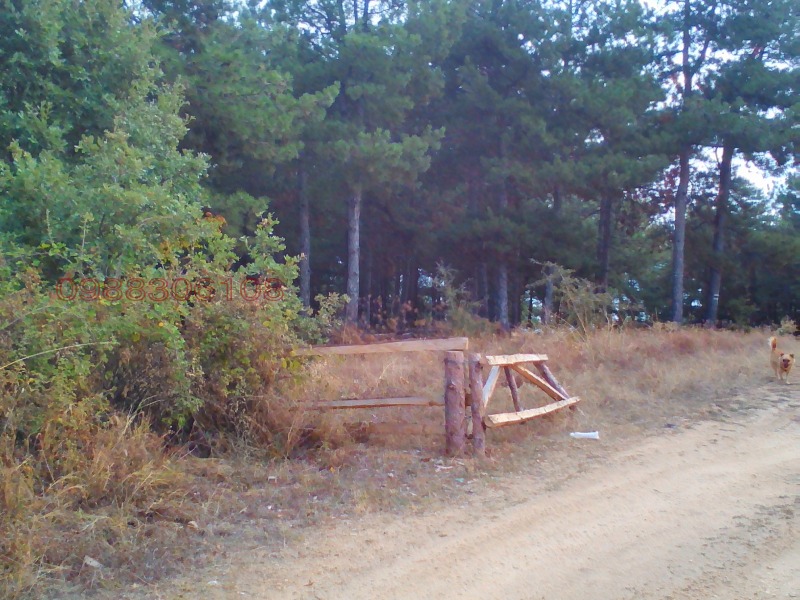 Продава ЗЕМЕДЕЛСКА ЗЕМЯ, с. Кърналово, област Благоевград, снимка 3 - Земеделска земя - 53389683