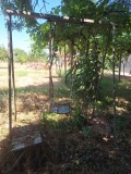 Продава КЪЩА, област Стара Загора, с. Калояновец • 40000 € • 99354720 — Holmes.bg