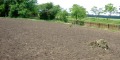 Продава ПАРЦЕЛ, област Добрич, с. Соколово • 24000 € • 95596616 — Holmes.bg