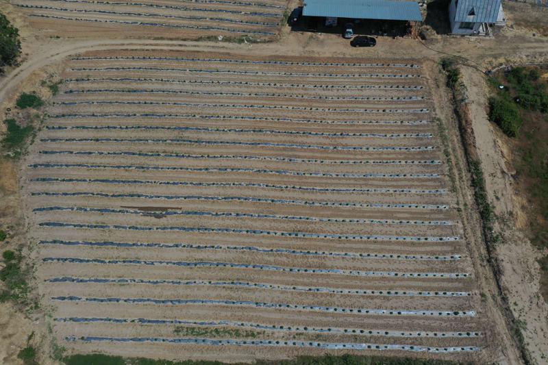 Продава ПАРЦЕЛ | Imot.bg — изображение 6