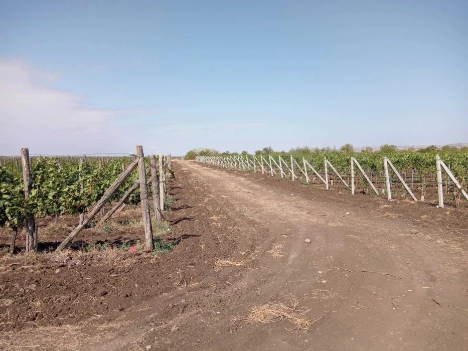 ������� ���������� ���� | Imot.bg � ����������� 6