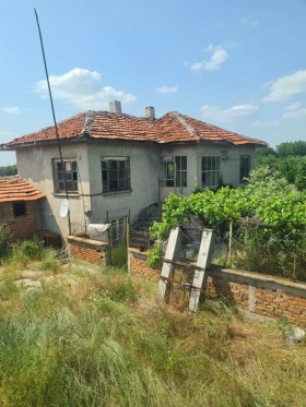 ������ ������� ����