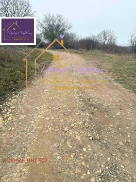 ������� ������ | Imot.bg � ����� ������ 7
