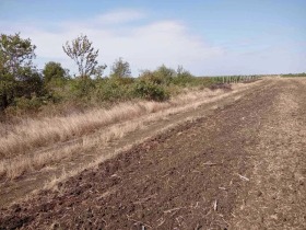 ������� ���������� ���� | Imot.bg � ����� ������ 12
