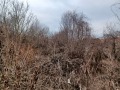 Продава ПАРЦЕЛ, с. Къпиново, област Велико Търново, снимка 7