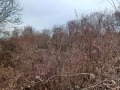 Продава ПАРЦЕЛ, с. Къпиново, област Велико Търново, снимка 5