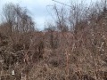 Продава ПАРЦЕЛ, с. Къпиново, област Велико Търново, снимка 6