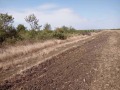 Продава  Земеделска земя област Бургас , гр. Поморие , 8148 дка | 98401990 - изображение [12]
