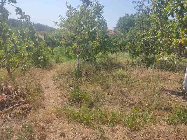 Продава КЪЩА | Imot.bg — изображение 11