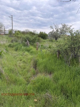 ����� ������� ������,�. ����� ���������, ������ ����� ������