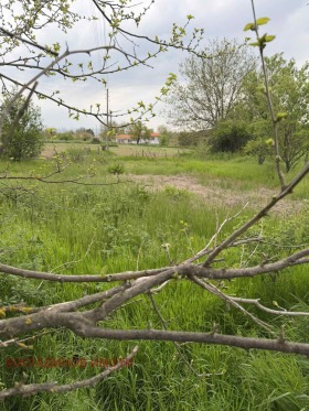 ����� ������� ������,�. ����� ���������, ������ ����� ������>