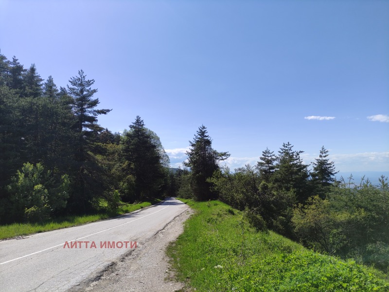 Til salg  Grund region Plovdiv , Bojkovo , 282 kvm | 77382817 - billede [11]