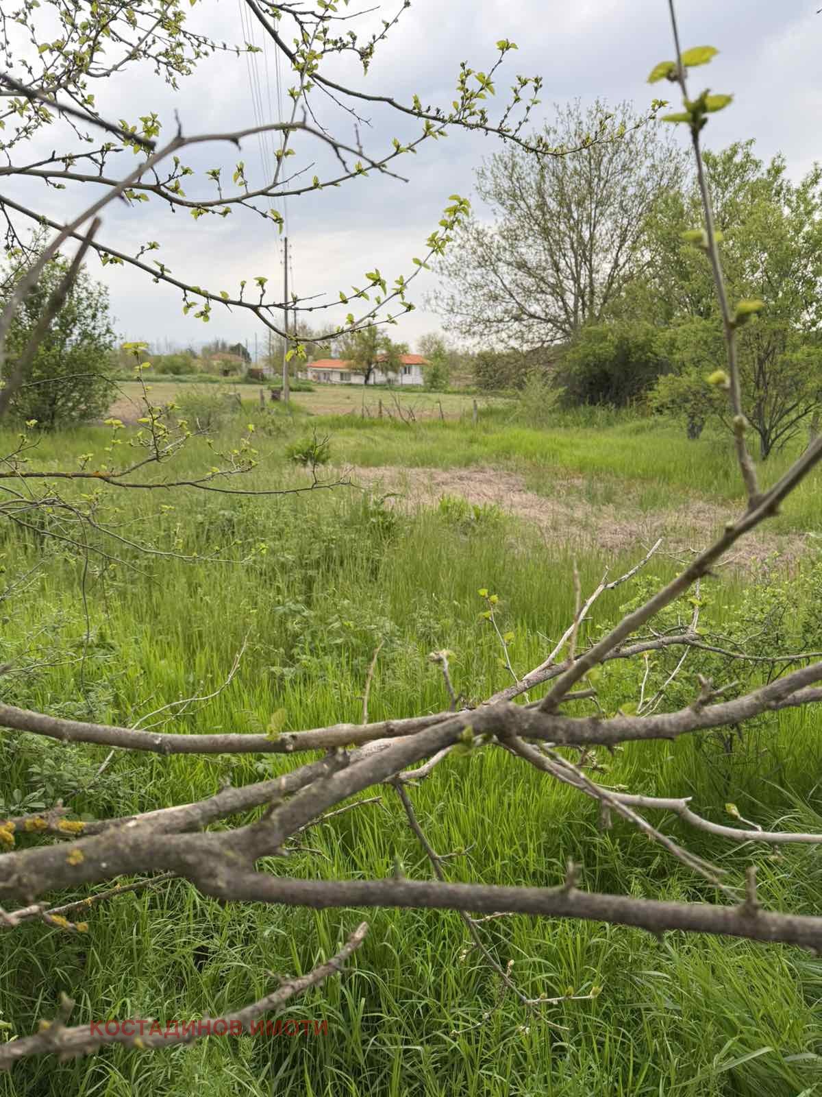 Продава ПАРЦЕЛ, с. Братя Даскалови, област Стара Загора, снимка 4 - Парцели - 54353928