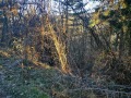 Продава ПАРЦЕЛ, град София, с. Панчарево • 90770 € • 37451714 — Holmes.bg