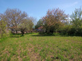 Продава  Парцел област Разград , гр. Завет , 620 кв.м | 85223258 - изображение [4]