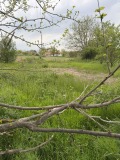 Продава ПАРЦЕЛ, област Стара Загора, с. Братя Даскалови • 4000 € / 7823.32 лв. • 91285845 4