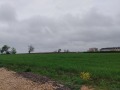 Продава ПАРЦЕЛ, с. Кичево, област Варна, снимка 2