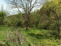 Продава ПАРЦЕЛ, с. Милкьовци, област Перник, снимка 3