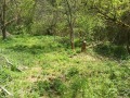 Продава ПАРЦЕЛ, с. Милкьовци, област Перник, снимка 2
