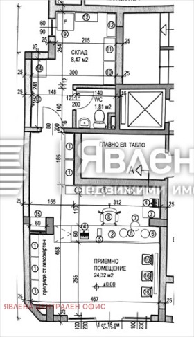 ����� ������� �������,���� �����, ������