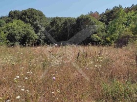 Οικόπεδο Μαλκο Ταρνοβο, περιοχή Μπουργκάς