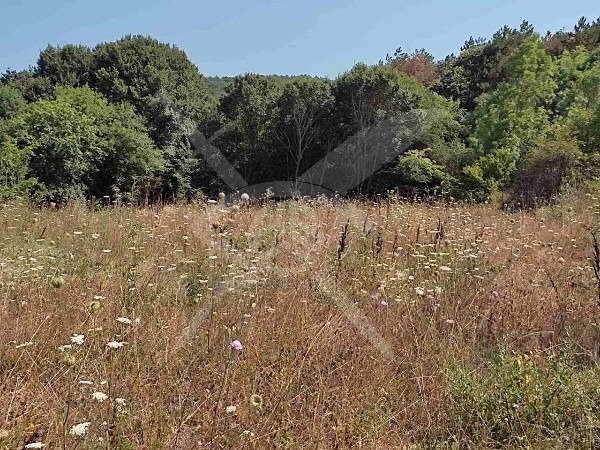 Til salg  Grund region Burgas , Malko Tarnovo , 10996 kvm | 12753200